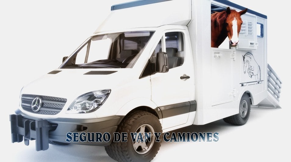 Realizable Lujo Alacena seguro-para-vans-y-camiones - Seguros Equitación