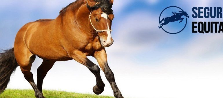 ¿Que coberturas tiene el seguro de responsabilidad civil para caballos?