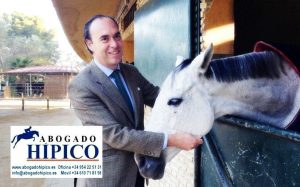 ventajas de seguros equitación