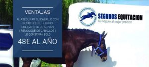 Seguro de responsabilidad civil completo para caballos