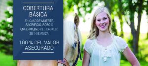 Seguro de responsabilidad civil completo para caballos