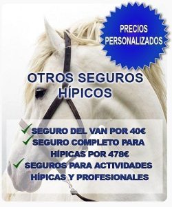 OTROS SEGUROS PARA LA EQUITACIÓN