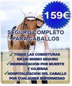 SEGURO TODO RIESGO PARA CABALLOS