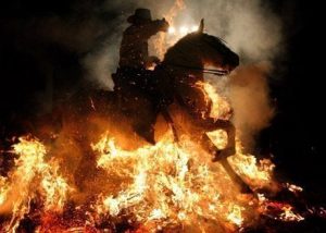 Seguros para caballos
