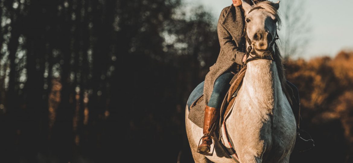 Cómo galopar a Caballo