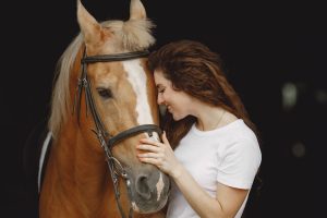 seguros para caballos