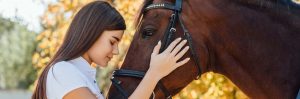 seguros para caballos
