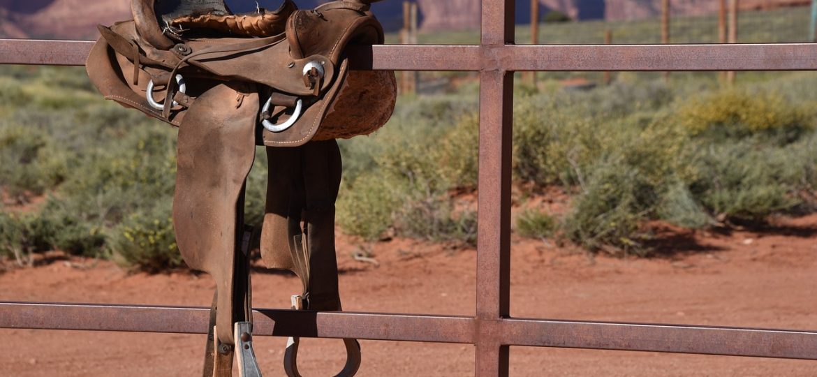 Cómo Ensillar un Caballo