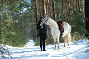 caballos y el frio