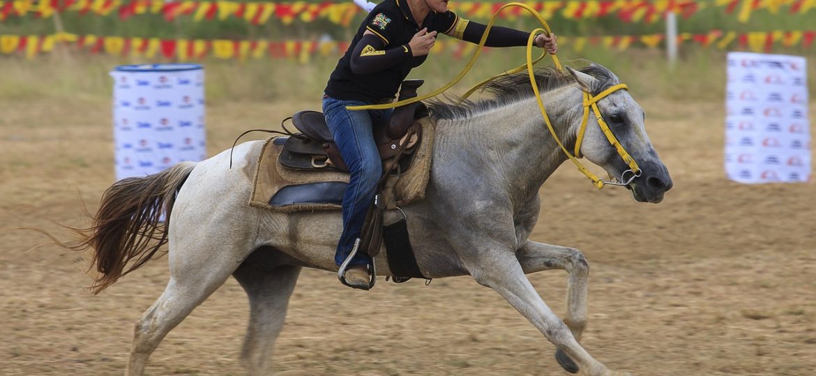 ¿Qué Caballo se Adapta a mi Disciplina?
