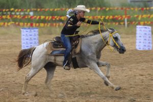 caballo disciplina