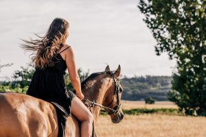 relacion entre el caballo y la persona