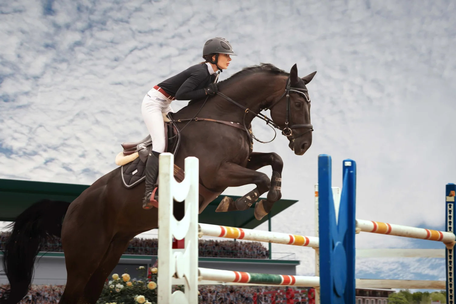 Qué es la equitación: historia, tipos y beneficios de montar a caballo
