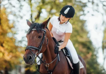 La prevención en el caballo deportivo: clave para alargar su vida útil y mejorar el rendimiento