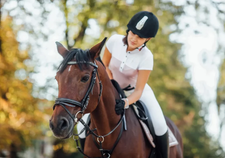 La prevención en el caballo deportivo: clave para alargar su vida útil y mejorar el rendimiento
