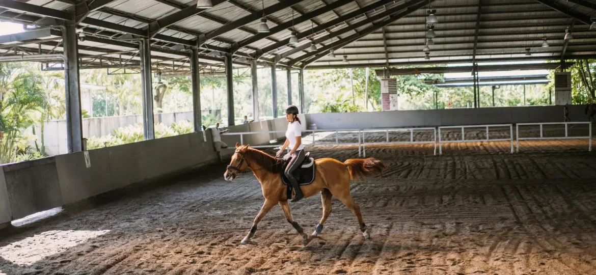 La cuadra como primera barrera sanitaria del caballo: claves para proteger su salud