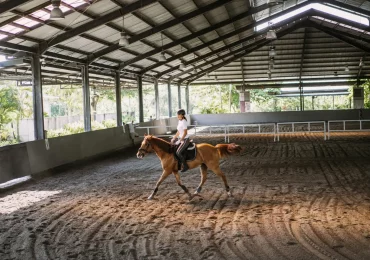 La cuadra como primera barrera sanitaria del caballo: claves para proteger su salud
