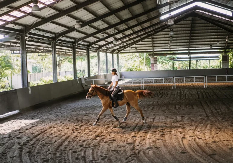 La cuadra como primera barrera sanitaria del caballo: claves para proteger su salud