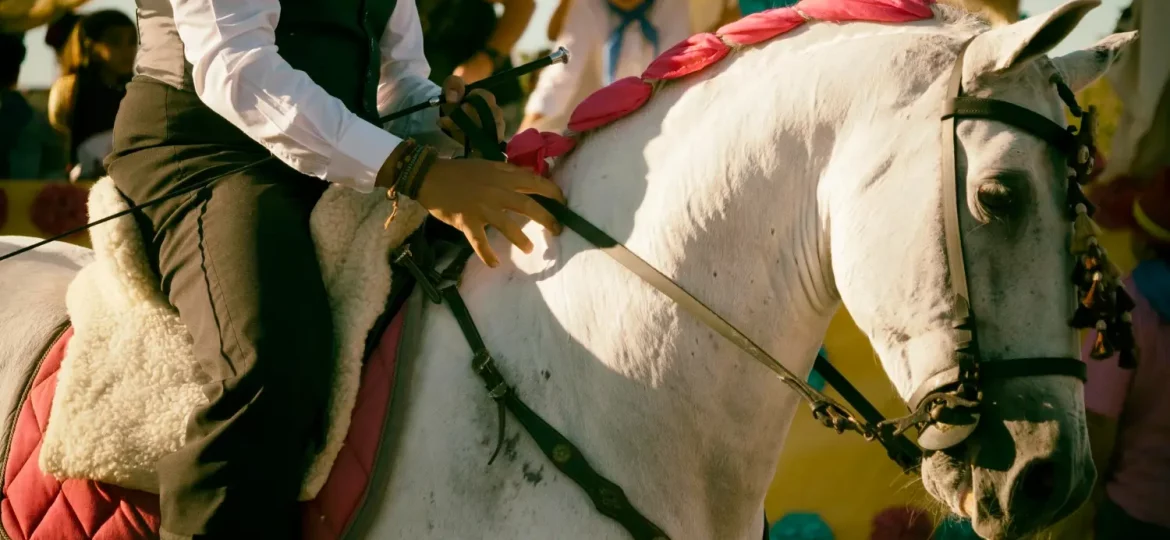 Las fiestas del Rocío y la bendición de los caballos: tradición, fe y responsabilidad ecuestre