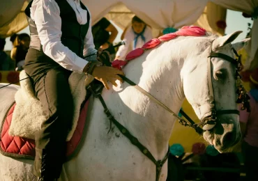Las fiestas del Rocío y la bendición de los caballos: tradición, fe y responsabilidad ecuestre