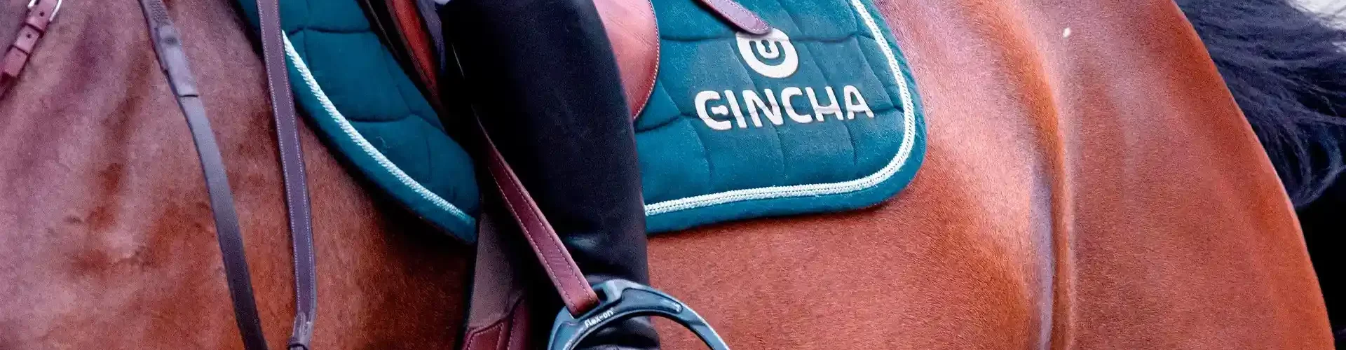 seguros para caballos