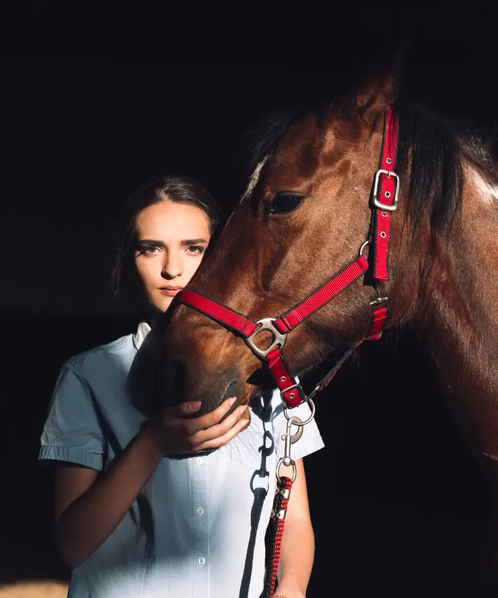 seguros-para-caballos